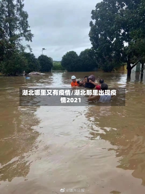 湖北哪里又有疫情/湖北那里出现疫情2021