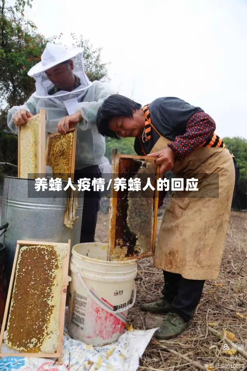 养蜂人疫情/养蜂人的回应-第2张图片