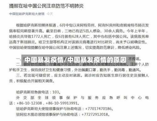 中国暴发疫情/中国暴发疫情的原因-第3张图片