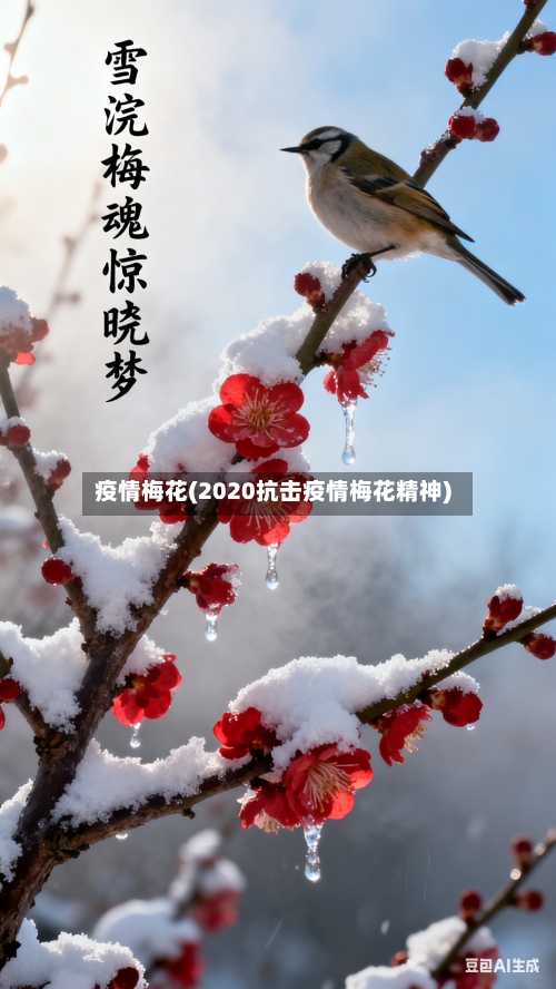 疫情梅花(2020抗击疫情梅花精神)