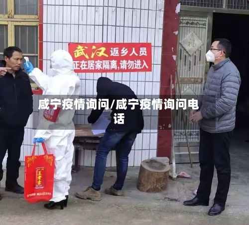 咸宁疫情询问/咸宁疫情询问电话