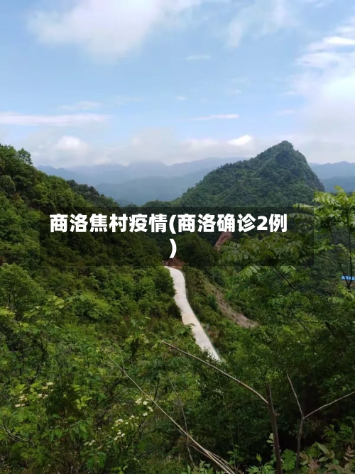 商洛焦村疫情(商洛确诊2例)-第2张图片