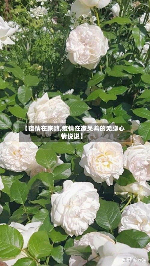 【疫情在家嗨,疫情在家呆着的无聊心情说说】-第2张图片