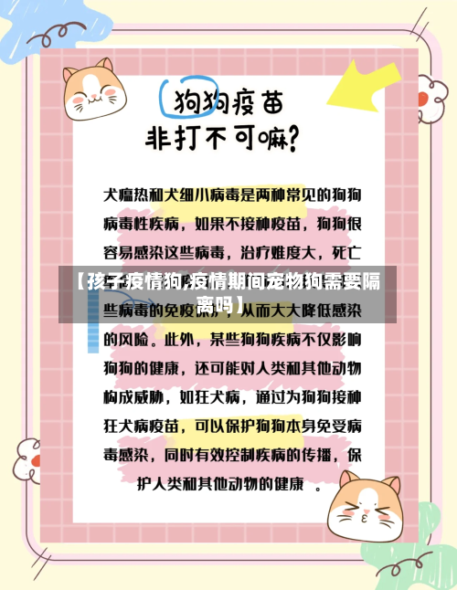 【孩子疫情狗,疫情期间宠物狗需要隔离吗】-第2张图片