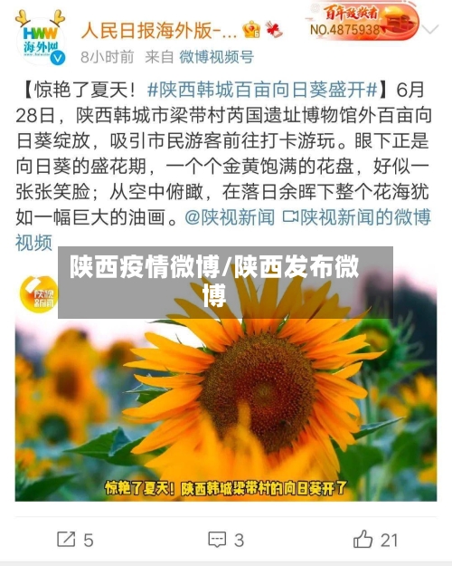 陕西疫情微博/陕西发布微博