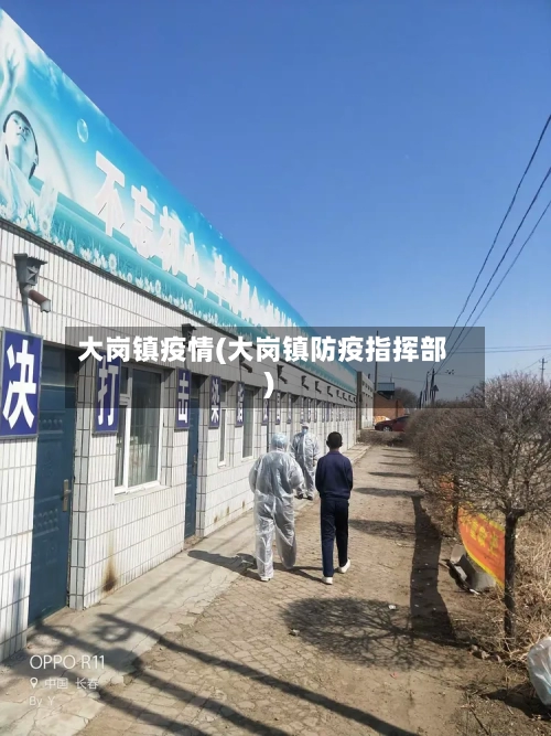 大岗镇疫情(大岗镇防疫指挥部)-第2张图片
