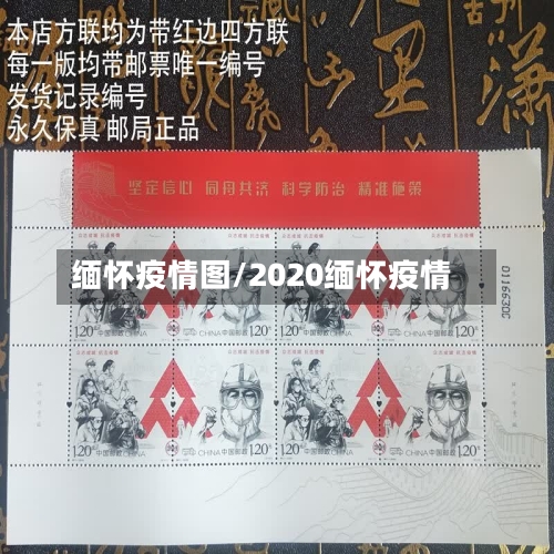 缅怀疫情图/2020缅怀疫情