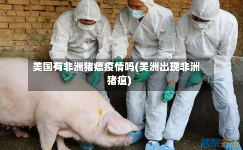 美国有非洲猪瘟疫情吗(美洲出现非洲猪瘟)