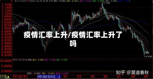疫情汇率上升/疫情汇率上升了吗