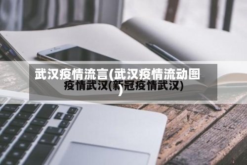 武汉疫情流言(武汉疫情流动图)