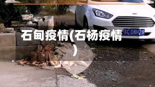 石甸疫情(石杨疫情)-第3张图片