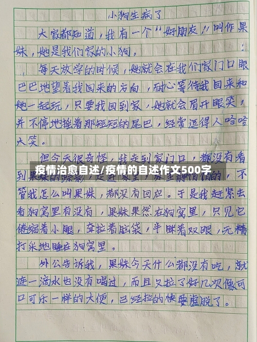 疫情治愈自述/疫情的自述作文500字-第3张图片
