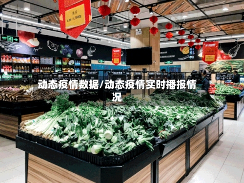 动态疫情数据/动态疫情实时播报情况