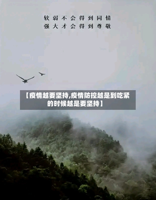 【疫情越要坚持,疫情防控越是到吃紧的时候越是要坚持】-第2张图片