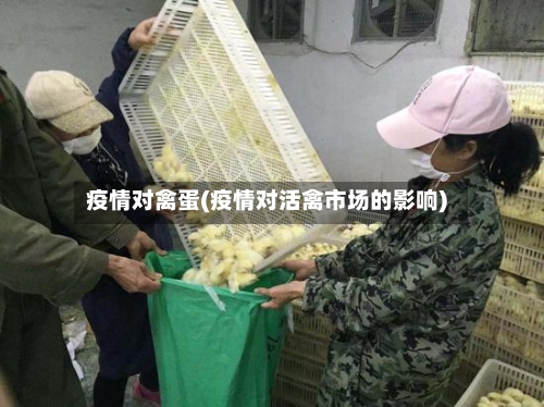 疫情对禽蛋(疫情对活禽市场的影响)
