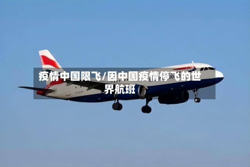 疫情中国限飞/因中国疫情停飞的世界航班-第3张图片