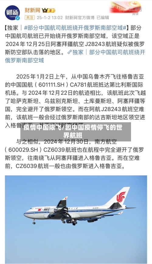 疫情中国限飞/因中国疫情停飞的世界航班