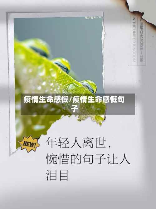 疫情生命感慨/疫情生命感慨句子-第2张图片