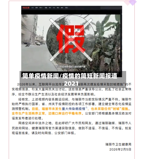简单疫情新闻/疫情的简短新闻报道2021