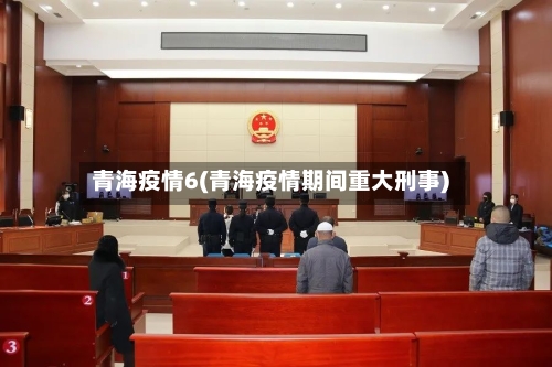 青海疫情6(青海疫情期间重大刑事)-第3张图片