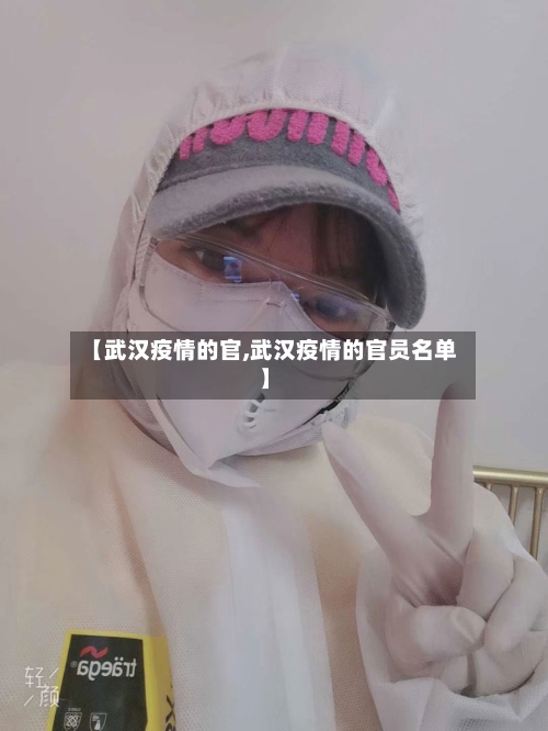 【武汉疫情的官,武汉疫情的官员名单】