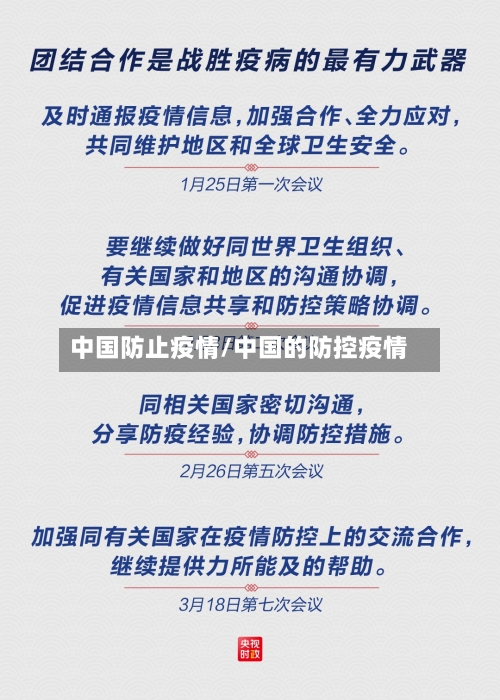 中国防止疫情/中国的防控疫情-第2张图片