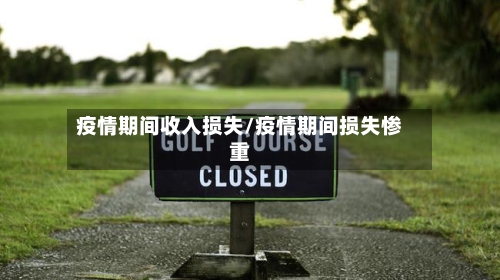 疫情期间收入损失/疫情期间损失惨重