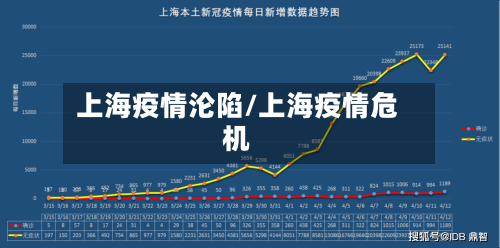 上海疫情沦陷/上海疫情危机