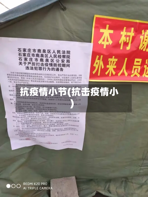 抗疫情小节(抗击疫情小)