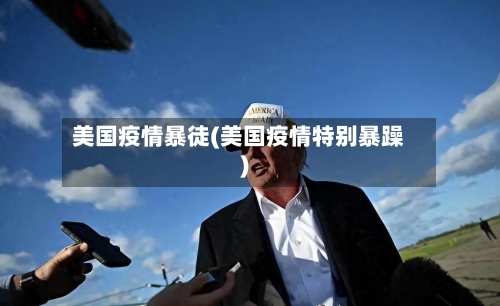 美国疫情暴徒(美国疫情特别暴躁)