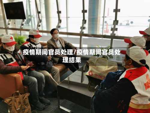 疫情期间官员处理/疫情期间官员处理结果
