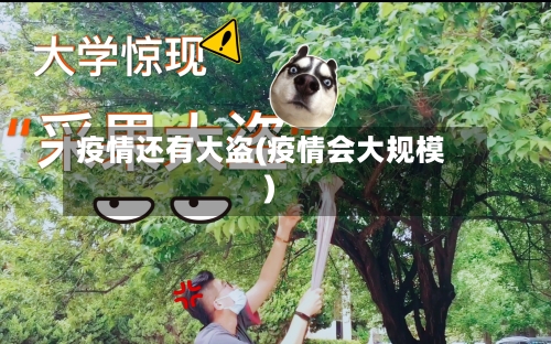 疫情还有大盗(疫情会大规模)-第2张图片