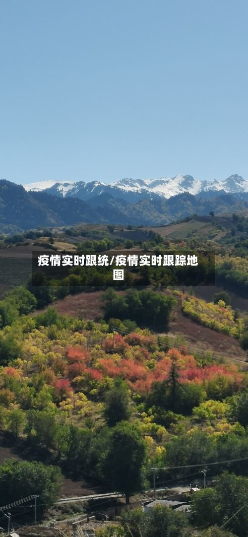 疫情实时跟统/疫情实时跟踪地图-第2张图片