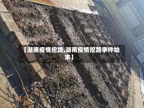 【湖南疫情挖路,湖南疫情挖路事件始末】-第3张图片