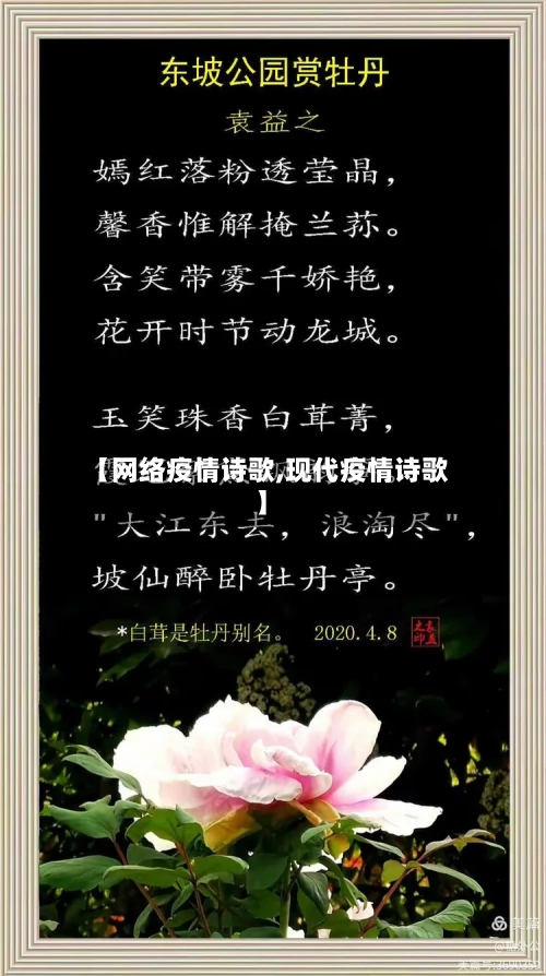 【网络疫情诗歌,现代疫情诗歌】-第2张图片