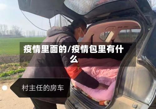疫情里面的/疫情包里有什么