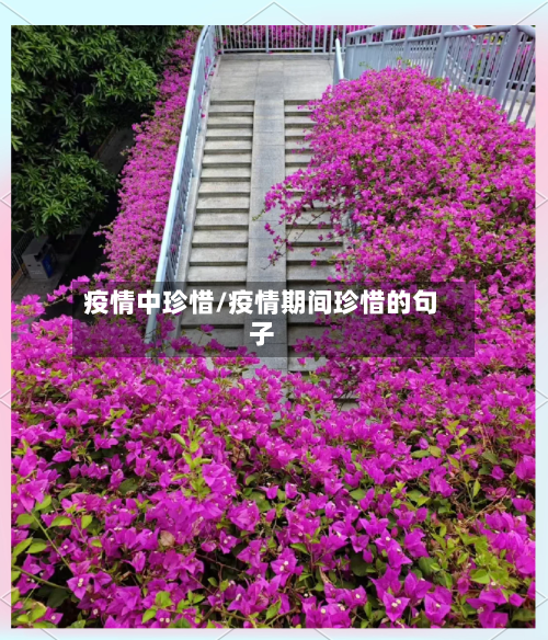 疫情中珍惜/疫情期间珍惜的句子