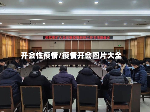 开会性疫情/疫情开会图片大全-第2张图片