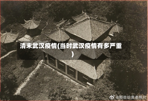 清末武汉疫情(当时武汉疫情有多严重)