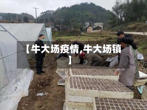 【牛大场疫情,牛大场镇】-第3张图片