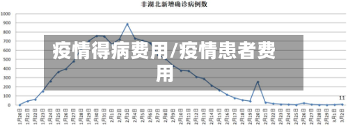 疫情得病费用/疫情患者费用-第2张图片