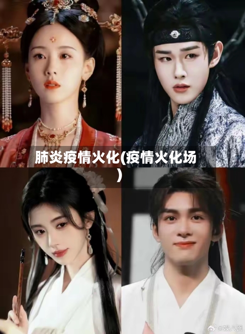 肺炎疫情火化(疫情火化场)