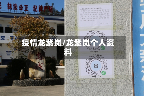 疫情龙紫岚/龙紫岚个人资料-第2张图片