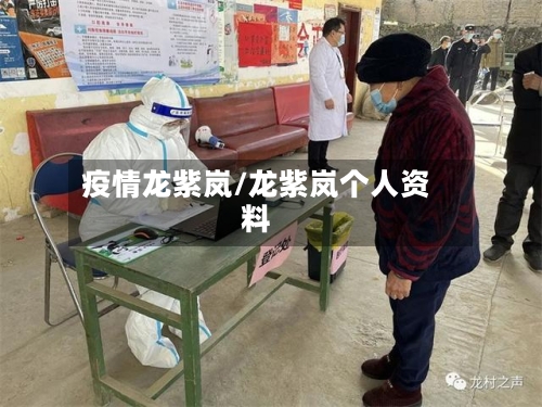 疫情龙紫岚/龙紫岚个人资料-第3张图片