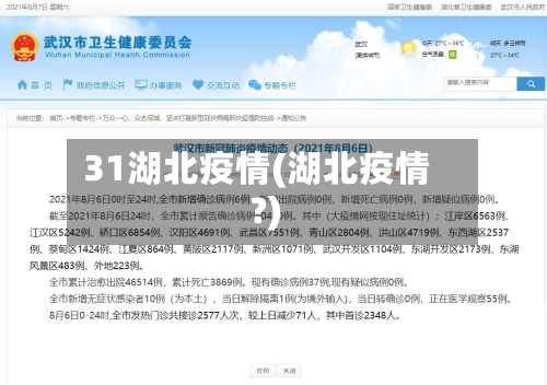 31湖北疫情(湖北疫情?)-第2张图片