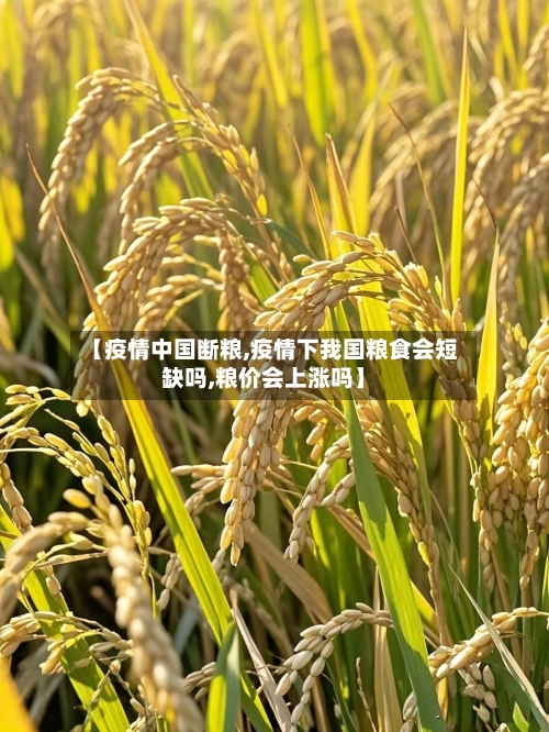 【疫情中国断粮,疫情下我国粮食会短缺吗,粮价会上涨吗】-第3张图片