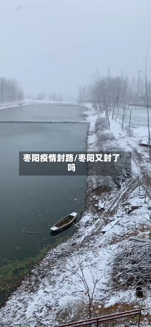 枣阳疫情封路/枣阳又封了吗