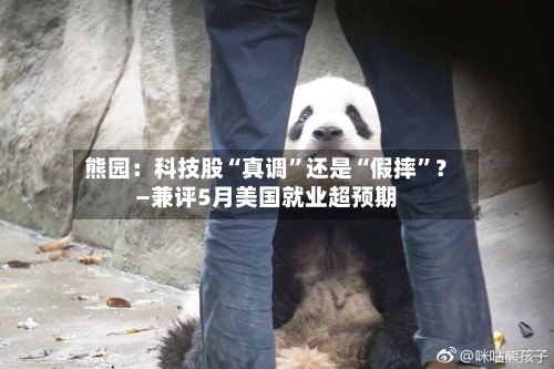 熊园：科技股“真调”还是“假摔	”？—兼评5月美国就业超预期-第2张图片