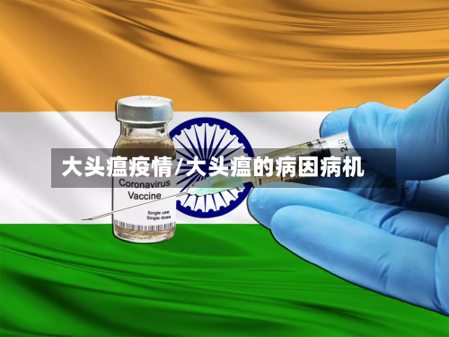 大头瘟疫情/大头瘟的病因病机-第3张图片