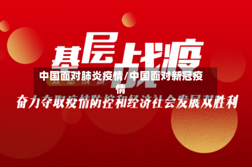 中国面对肺炎疫情/中国面对新冠疫情